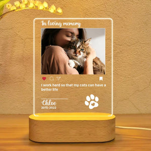 Personalized In Loving Memory Cat Lovers Your Memorial Cat Image Led Lamp Printed PNHY1101