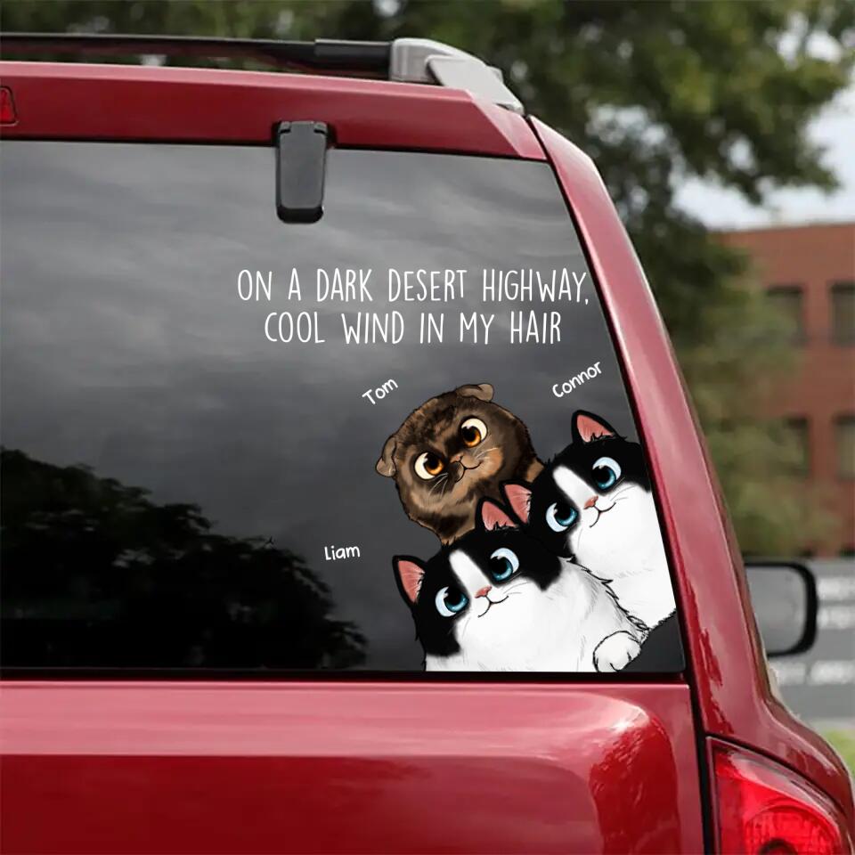 Personalized On a dark desert highway, cool wind in my hair cat with name Decal Printed QTDT0602