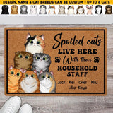 Personalized Spoiled Cats Live Here With Their Household Staff Welcome Doormat Printed QTHQ1503 copy