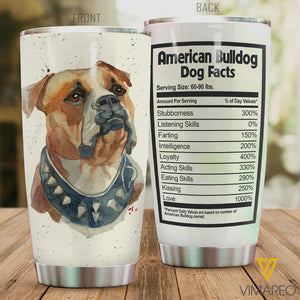 American Bulldog Dog TI9W