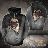 Pug Dog 3D printed hoodie CXN
